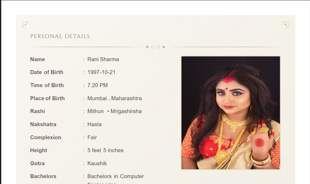 Modern Biodata Template